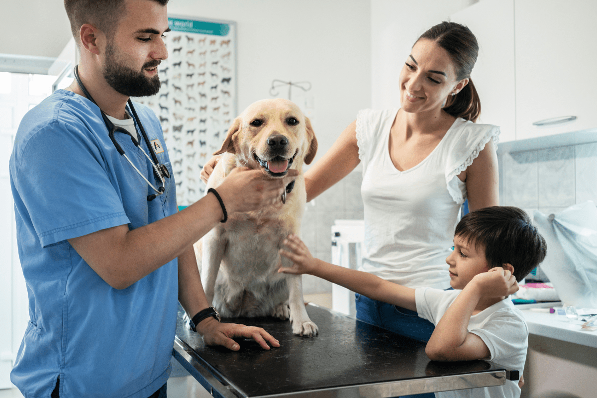 canine distemper vaccine vet office